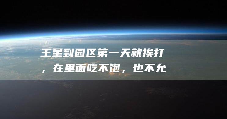 王星到园区第一天就挨打，在里面吃不饱，也不允许如厕|泰国|缅甸|灯光师