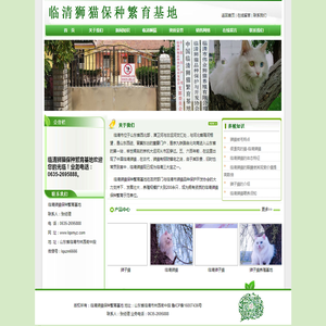 狮猫,临清狮子猫,山东狮猫