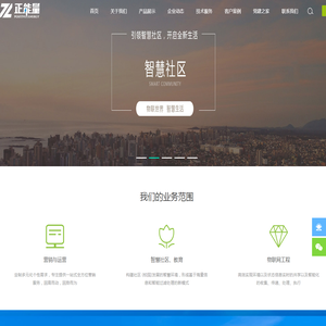 重庆正能量网络集团有限公司