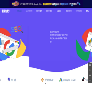 BIBWIN跨境数字化营销服务商
