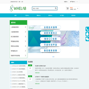 WheLab上海盈湾生物永生化细胞系