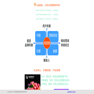 逍遥猪，你的社群营销专家