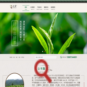 绿春迅来茶业有限公司