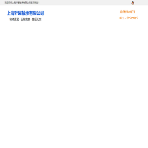 上海轩曜轴承有限公司