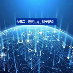 SAIBO：连接世界