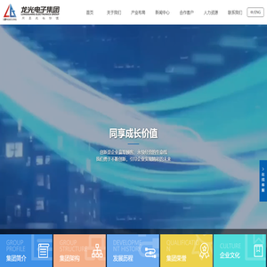 龙光电子集团有限公司