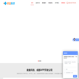 成都APP开发公司,APP定制,软件外包,小程序开发公司【麦鱼科技】