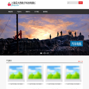 上海瓜大西电子科技有限公司