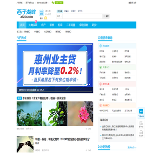 西子湖畔xizi.com