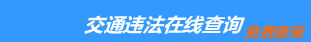 （手机版）日照交通违章查询