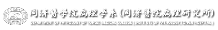 同济医学院病理学系