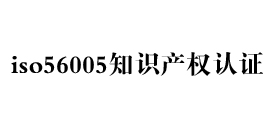 iso56005创新知识产权