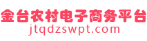 金台区农村电子商务平台