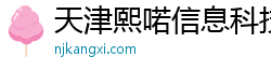 天津熙喏信息科技有限公司