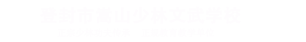 嵩山少林文武学校