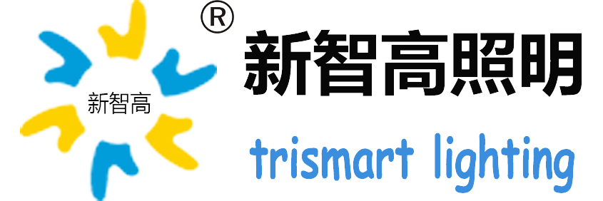 深圳新智高照明科技有限公司