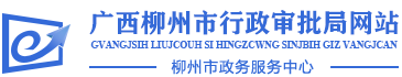 广西柳州市行政审批局网站