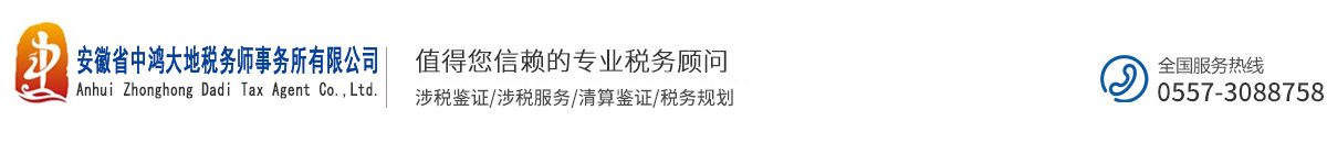 安徽省中鸿大地税务师事务所有限公司