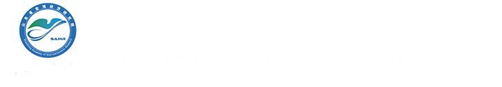 山东省宏观经济研究院