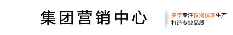 安徽天康(集团)股份有限公司