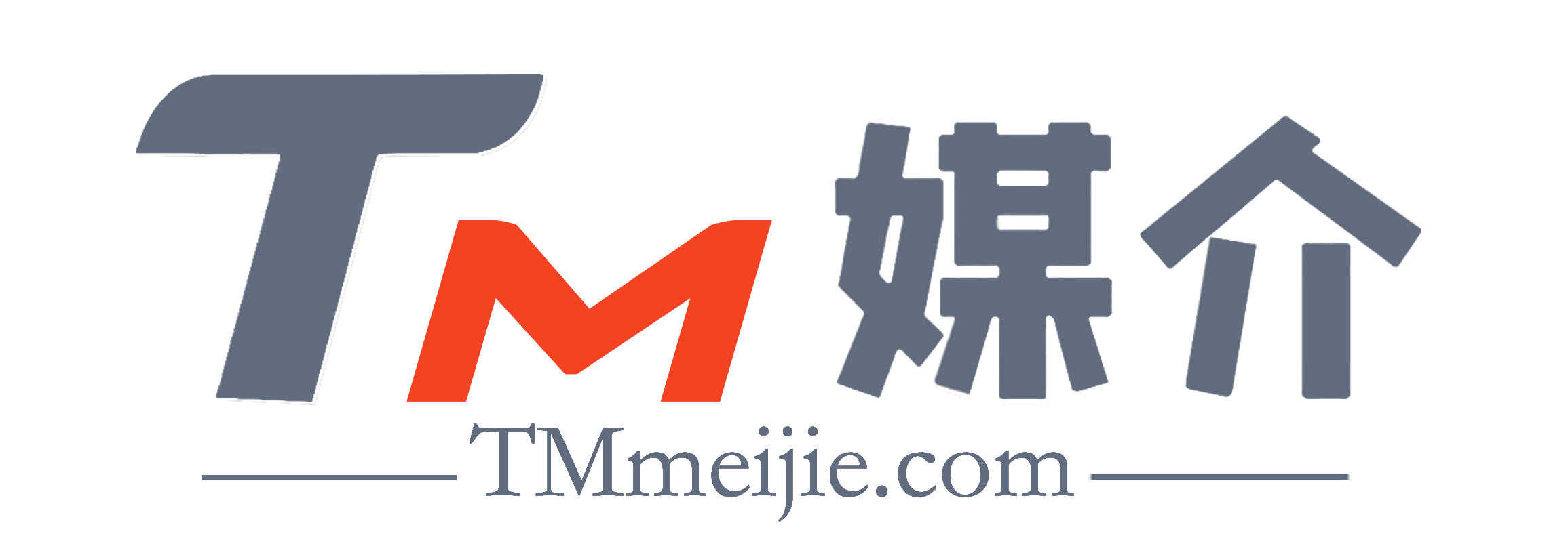 TM媒介