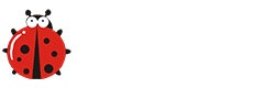 甲壳虫装机大师