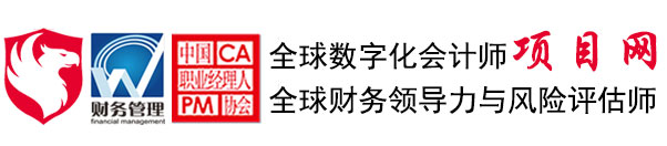 全球数字化会计师