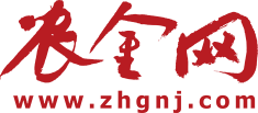 农村金融时报官方网站