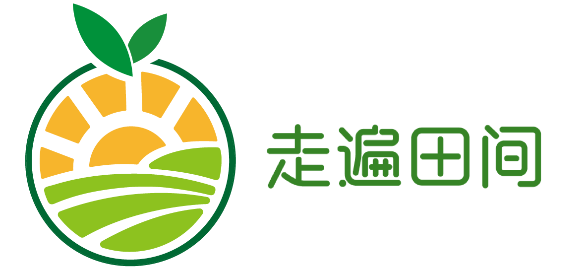 走遍田间只为顶级果礼｜走遍田间高端水果礼盒｜让商务礼品变得简单而多彩｜找回儿时的味道，让生活变得美好而多彩｜北京思奇有道技术有限公司