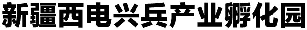 新疆西电兴兵电子科技有限公司