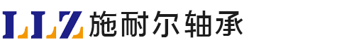 山东施耐尔轴承有限公司